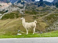 Col du Tourmalet