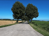 Rue du Brouck da Otrange