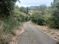 Chemin des Immouladous