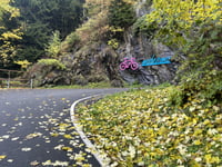 Alpe Motta von Chiavenna