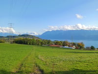 Chemin de la Grange-Rouge