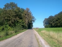 Bois du Château von Château de Vêves