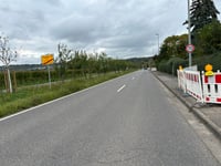 Röspelkopf von Geisenheim