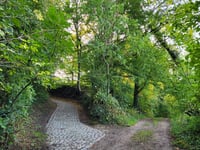 Nommelenberg