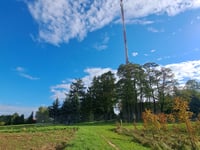 Chorągwica da Mietniów