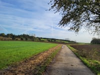 Haringsberg von Sassenbroek