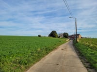 Haringsberg von Sassenbroek