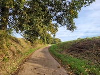 Haringsberg von Sassenbroek