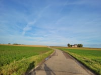 Lauwstraat von Lauw