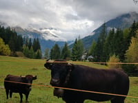Col de Champex von Orsières
