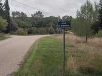 Route de Montdragon von Le Rieu