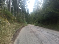 Reinerzauer Steige vanuit Alpirsbach