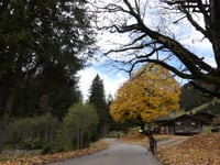 Grosse Scheidegg da Meiringen
