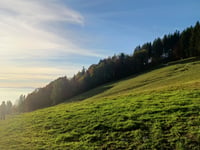 Les Pléiades von Vevey
