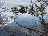 Kahlenberg przez Sachsengasse