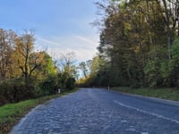 Kahlenberg über Sachsengasse