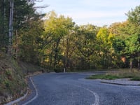 Kahlenberg über Sachsengasse