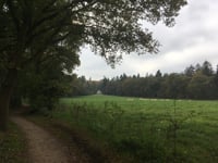 Bruisbeek von Loenen