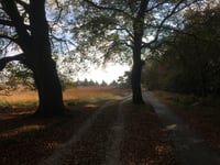 Signaal Imbosch von Eerbeek