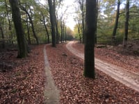 Signaal Imbosch von Eerbeek