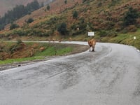 Col d'Aspin