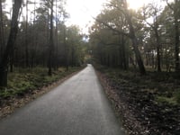 Schaapsallee from Laag-Soeren