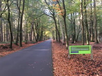 Schaapsallee from Laag-Soeren