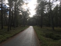Worth-Rheder Zand