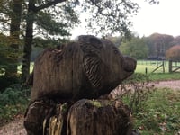Zijpenberg über Bezoekerscentrum Veluwezoom