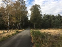 Brandtorenweg