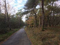 Brandtorenweg