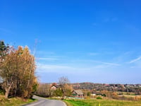 Brzegi