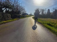Brzegi