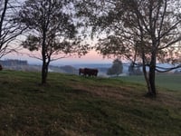 Odolov von Rtyně v Podkrkonoší