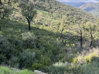 Col du Périer von Grimaud