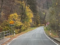 Grosser Beerberg von Gräfenroda über Gehlberg
