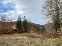 Grosser Beerberg von Gräfenroda über Gehlberg