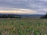 Koppenberg
