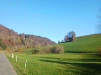 Col du Mollendruz depuis Croy