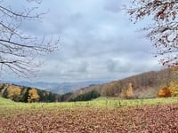 Bergsee Ebertswiese von Floh-Seligenthal