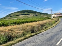 Mont Brouilly von Quincié-en-Beaujolais