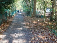 De Dorskamp von Wageningen