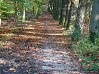 De Dorskamp from Wageningen