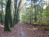 De Dorskamp from Wageningen