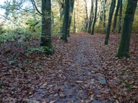 De Dorskamp from Wageningen