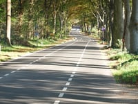 Lunterse Bosweg par Goorsteeg