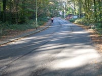 Amersfoortse Berg via Surinamelaan