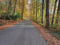 Col du Rosier da Spa