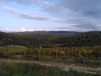 Strada della Paneretta von Poggibonsi