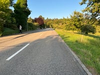 Munihubel von Zofingen